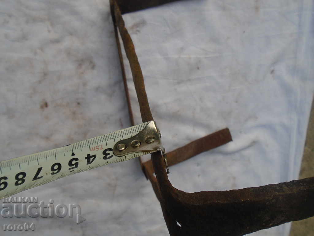 STAR HORSES PICTURES - 7 STAR HORSES PICTURES - 7