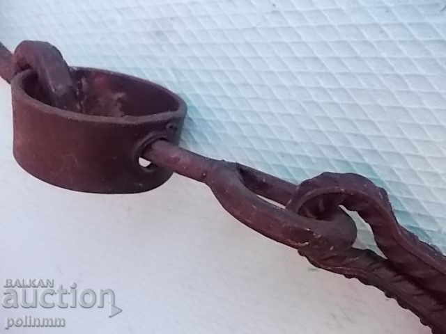 chicken - 5 chicken - 5