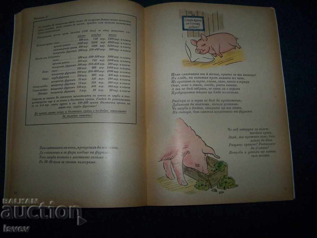 Merry Arrow for Feeding Domestic Animals since 1942 - 5 Merry Arrow for Feeding Domestic Animals since 1942 - 5