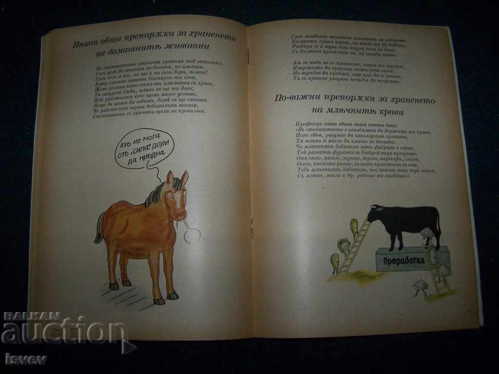 Merry Arrow for Feeding Domestic Animals since 1942 - 6 Merry Arrow for Feeding Domestic Animals since 1942 - 6