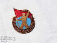 badge For long-time and bona fide work of bronze-enamel