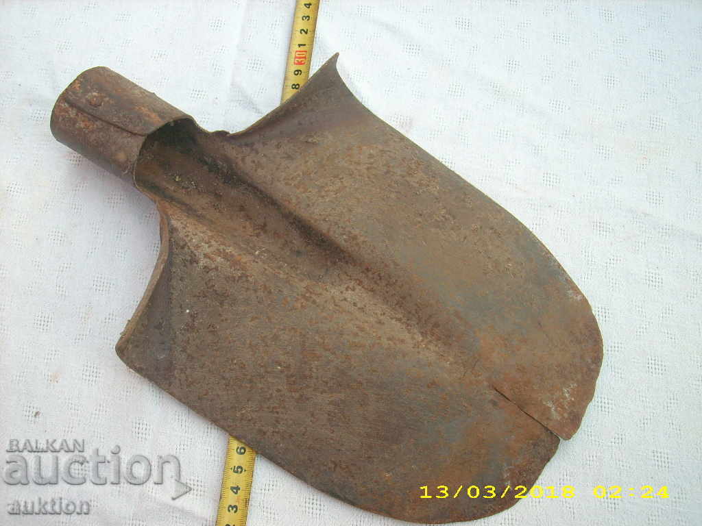 STAR HORSES "RIGHTS" LOPA - 5 STAR HORSES "RIGHTS" LOPA - 5