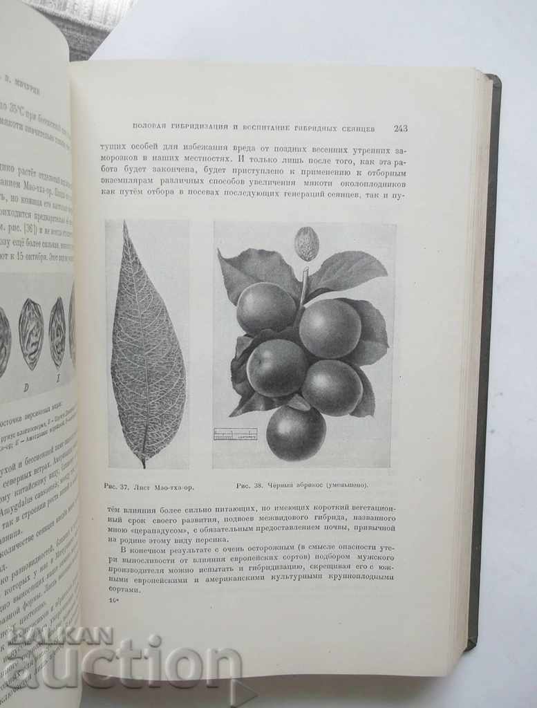 Избранные сочинения - И. В. Мичурин 1948 г. - 5 Избранные сочинения - И. В. Мичурин 1948 г. - 5