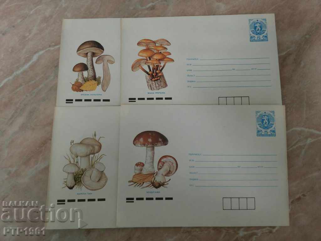 plicuri-bureti plicuri-bureti