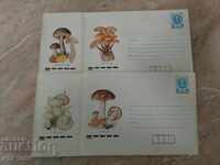 φάκελοι-σφουγγάρια