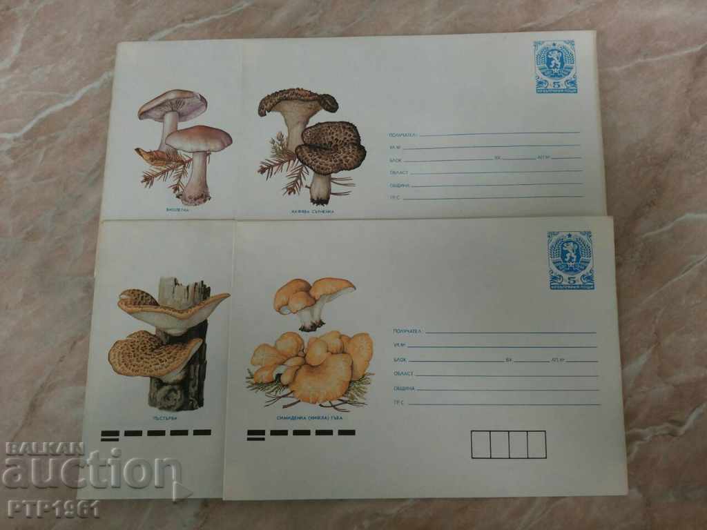 plicuri-bureti plicuri-bureti