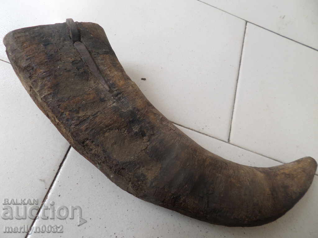 Bismarck hazelnut tarnata with price 59.00 BGN | € 30.17 Bismarck hazelnut tarnata with price 59.00 BGN | € 30.17