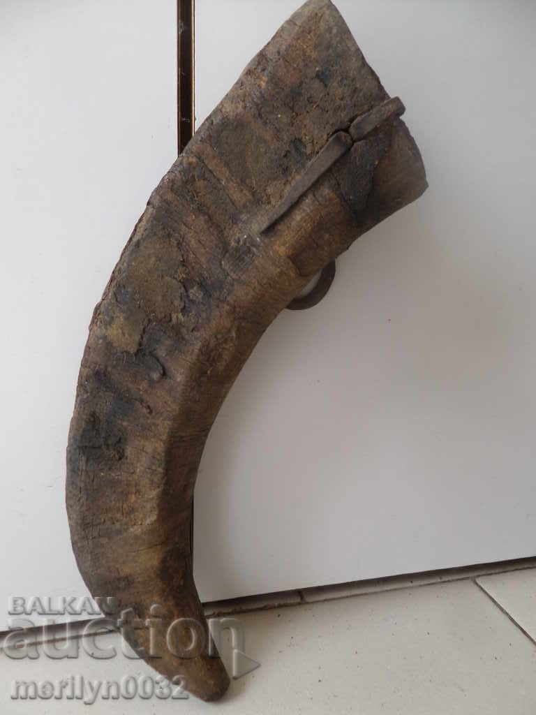 Delivery of Bismarck hazelnut tarnata Delivery of Bismarck hazelnut tarnata