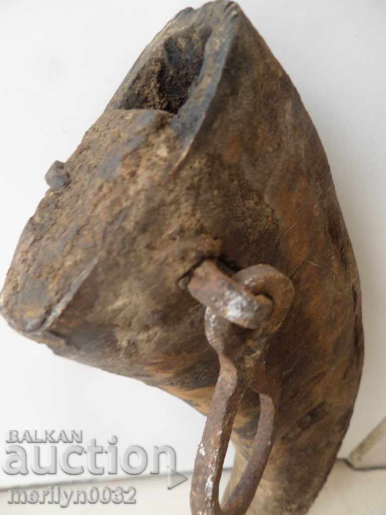 Bismarck hazelnut tarnata - 5 Bismarck hazelnut tarnata - 5