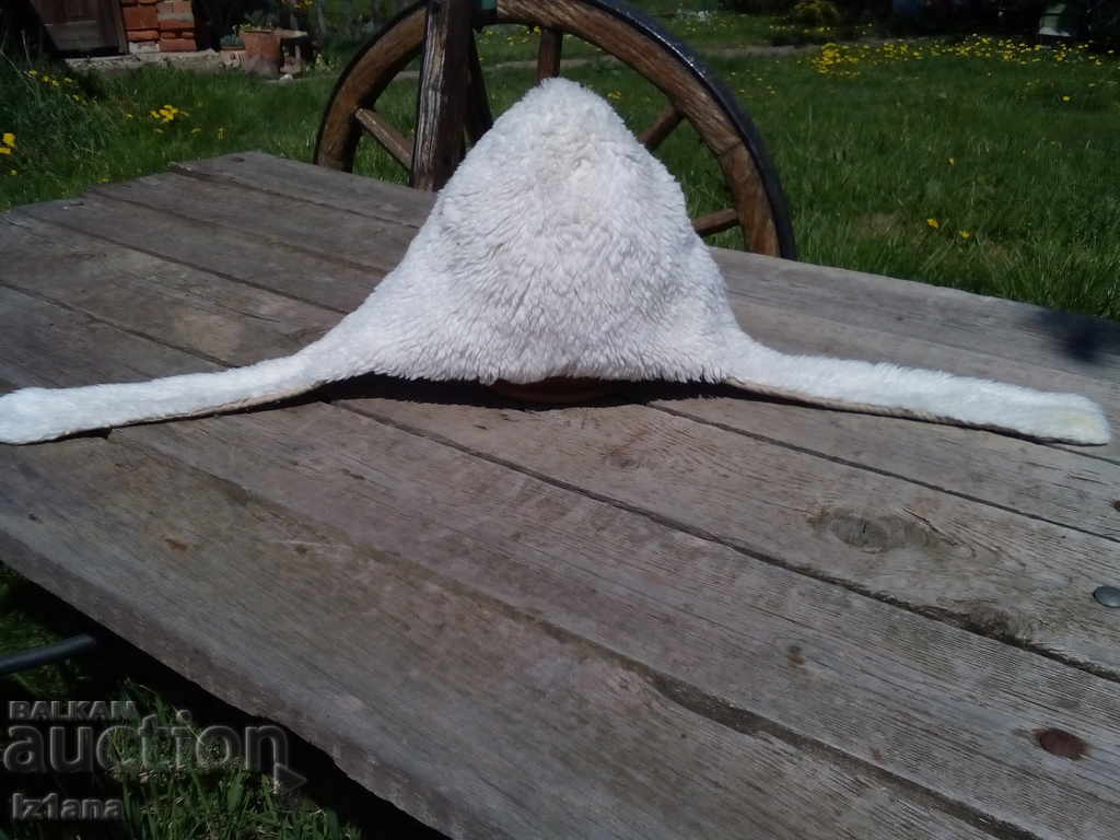 Auction Children's hat, ear hat Auction Children's hat, ear hat