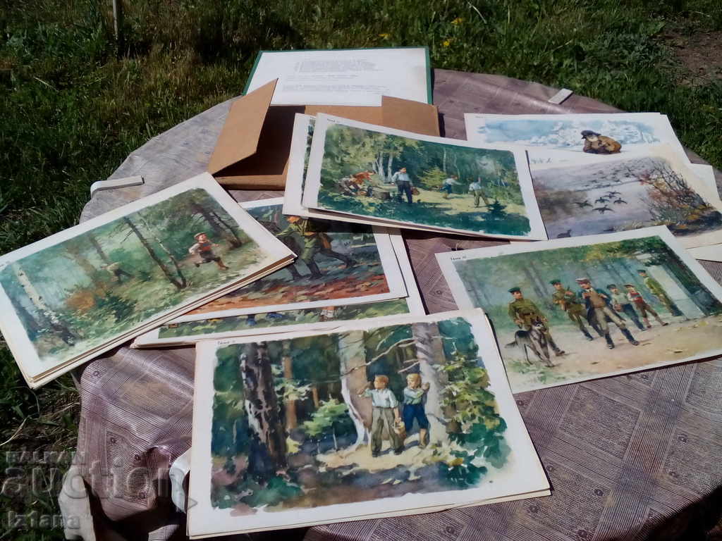 Licitație Album pentru copii Licitație Album pentru copii