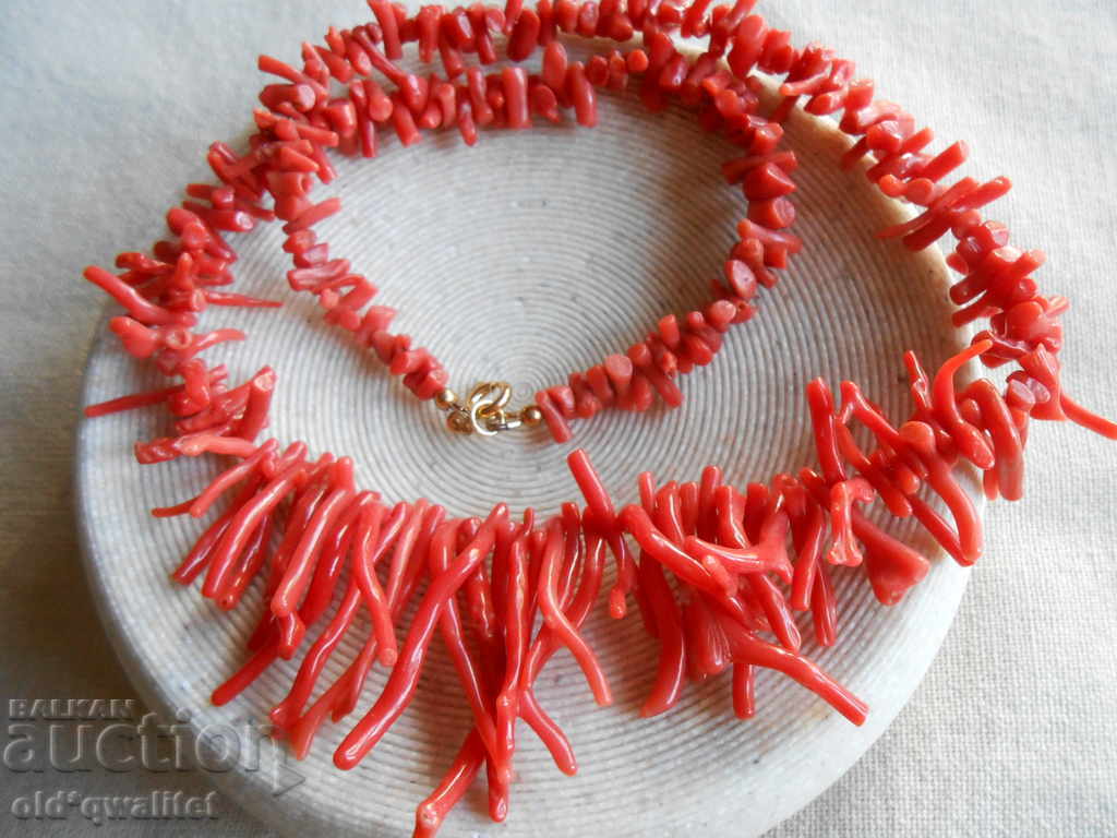 GREAT WHEAT, Natural Coral with price 797.00 BGN | € 407.50 GREAT WHEAT, Natural Coral with price 797.00 BGN | € 407.50