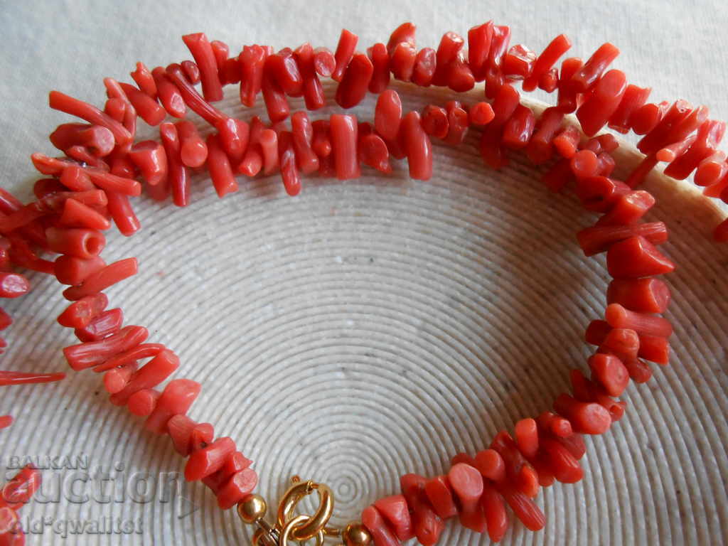 Delivery of GREAT WHEAT, Natural Coral Delivery of GREAT WHEAT, Natural Coral