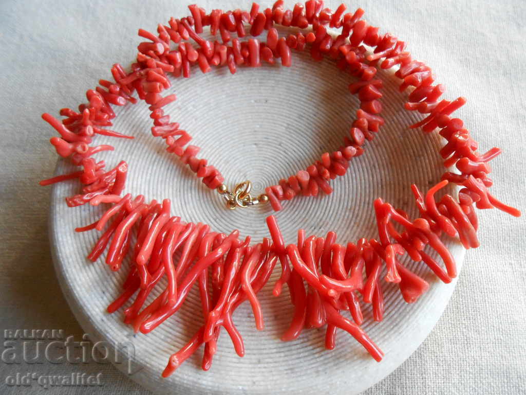 GREAT WHEAT, Natural Coral