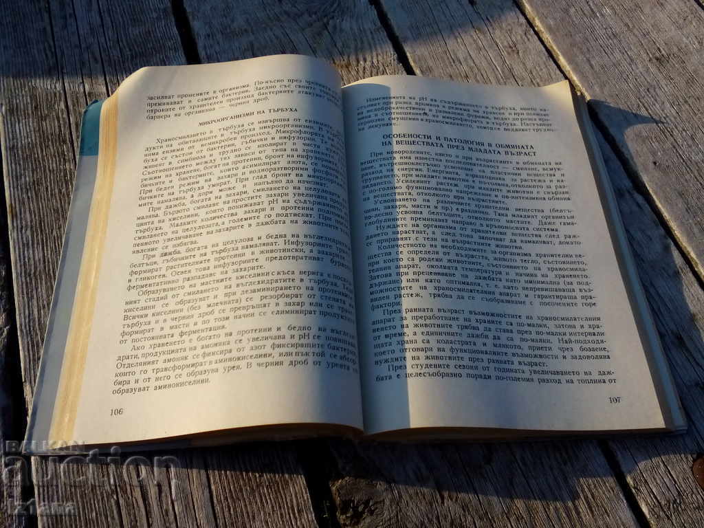 Auction Book, Newborn and Adolescent Diseases Auction Book, Newborn and Adolescent Diseases