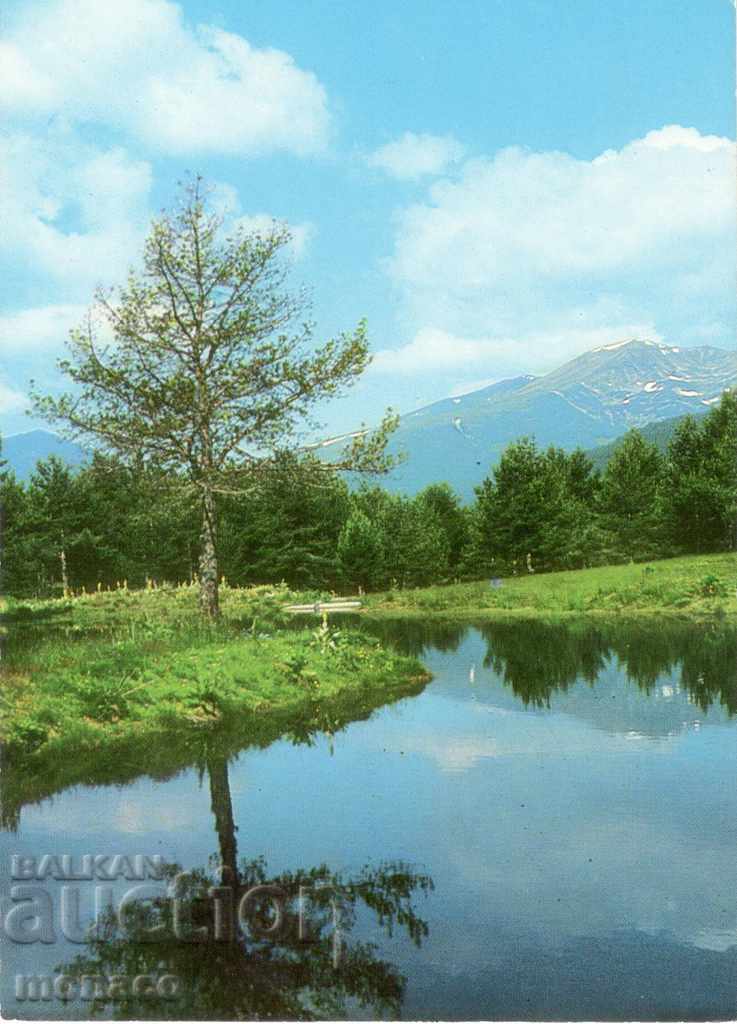Postcard - Rila, In the vicinity of Semkovo hut
