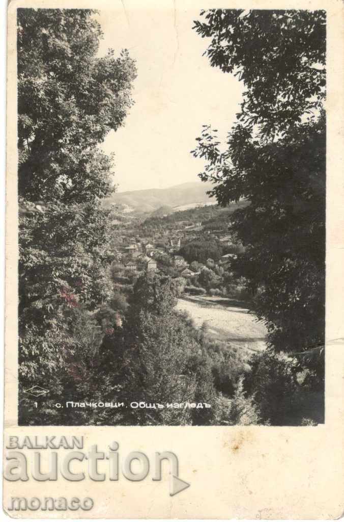 Postcard - Plachkovci, General view