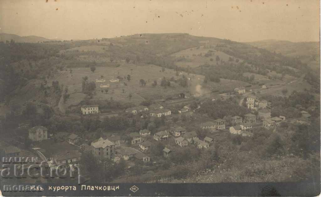 Postcard - Plachkovci, General view