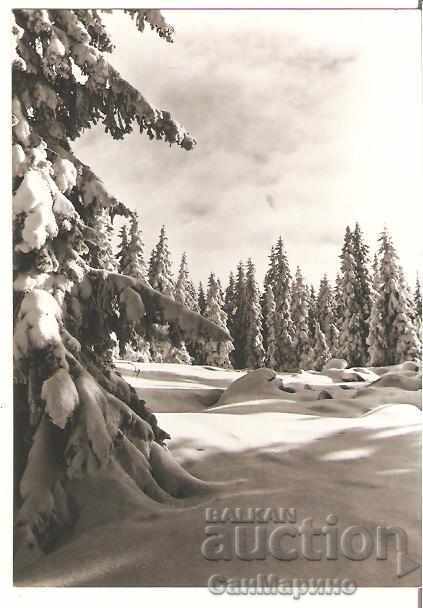 Card Bulgaria Winter landscape 14 **