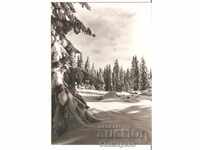 Картичка  България  София Витоша Зимен пейзаж 1**