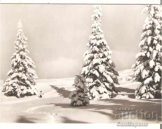 Postcard Bulgaria Winter Landscape 13 *
