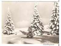Καρτ ποστάλ Βουλγαρία Χειμερινό τοπίο 13 *