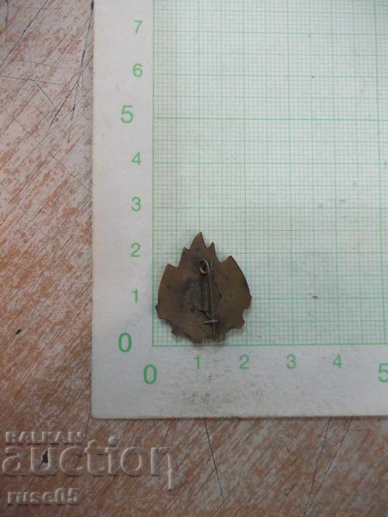 Badge "SINT GATA INTOTDEAUNA" pioneering Romanian with price 3.00 BGN | € 1.53 Badge "SINT GATA INTOTDEAUNA" pioneering Romanian with price 3.00 BGN | € 1.53