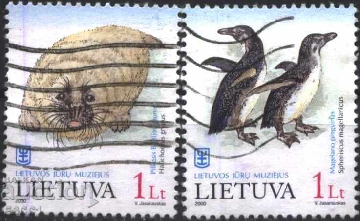 Клеймовани марки Фауна Пингвини Тюлен  2000  от Литва