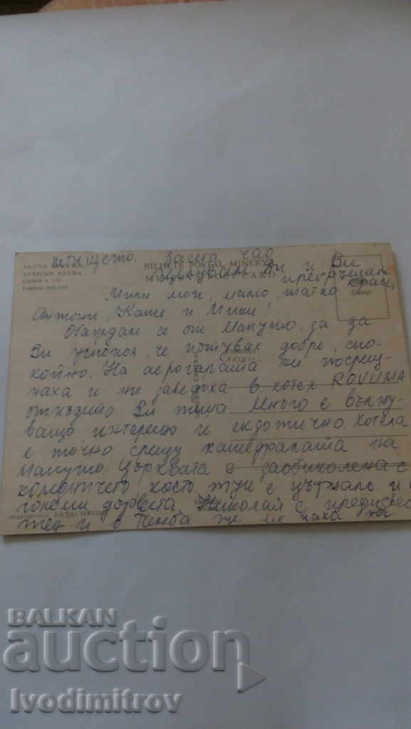 Postcard African Fauna Elephant and calf with price 0.85 BGN | € 0.43 Postcard African Fauna Elephant and calf with price 0.85 BGN | € 0.43