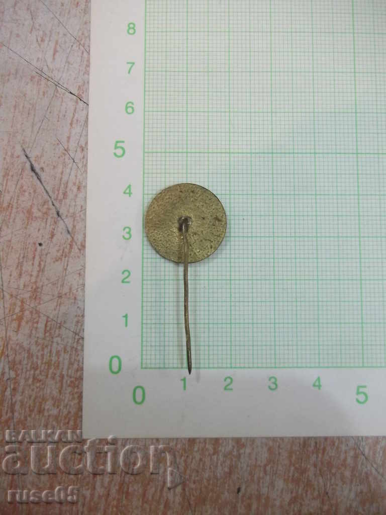 Badge "Regional Council for Art and Culture - Rousse" with price 2.00 BGN | € 1.02