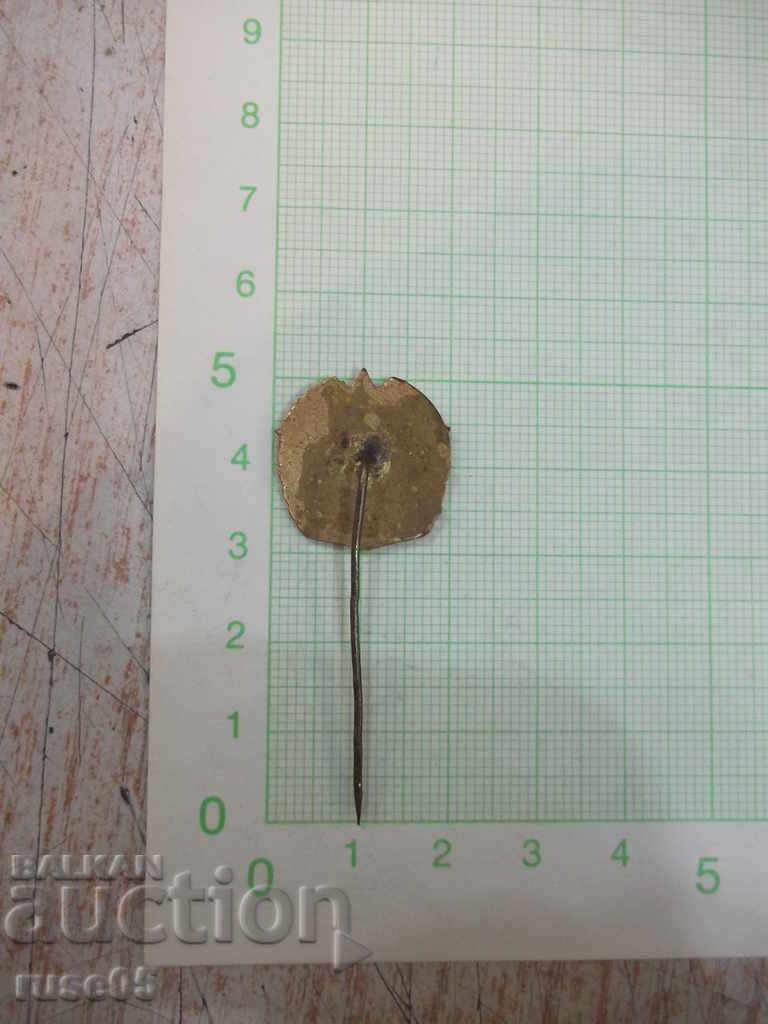 "BGTO" badge with price 10.00 BGN | € 5.11 "BGTO" badge with price 10.00 BGN | € 5.11