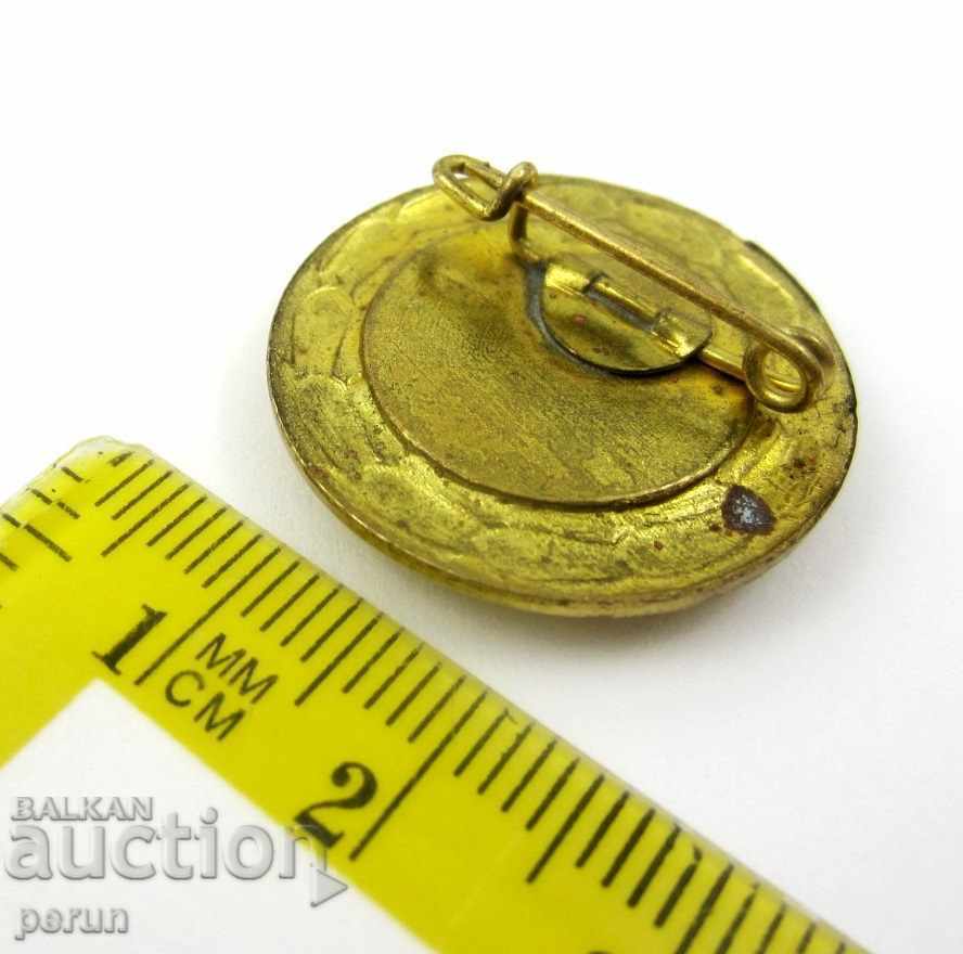 HERALDY-COAT-OF-COAT-MONDSEE-AUSTRIA-BADGE OF HONOR - 5