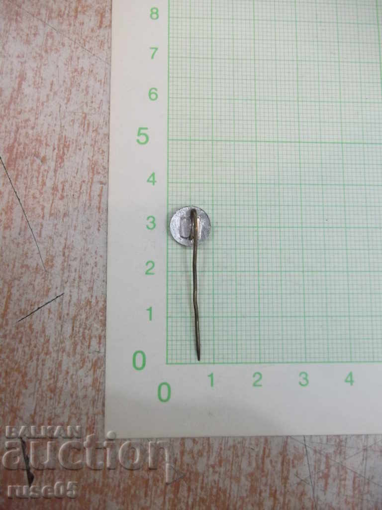 Badge - 16 with price 1.00 BGN | € 0.51