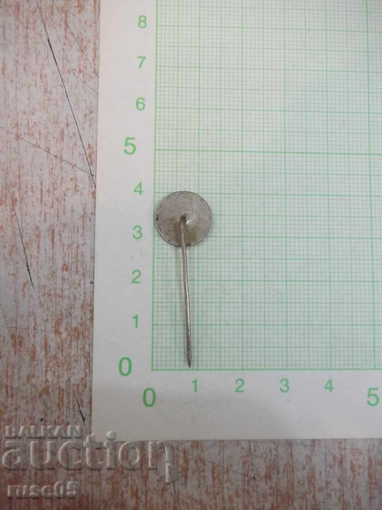 Badge - 17 with price 1.00 BGN | € 0.51