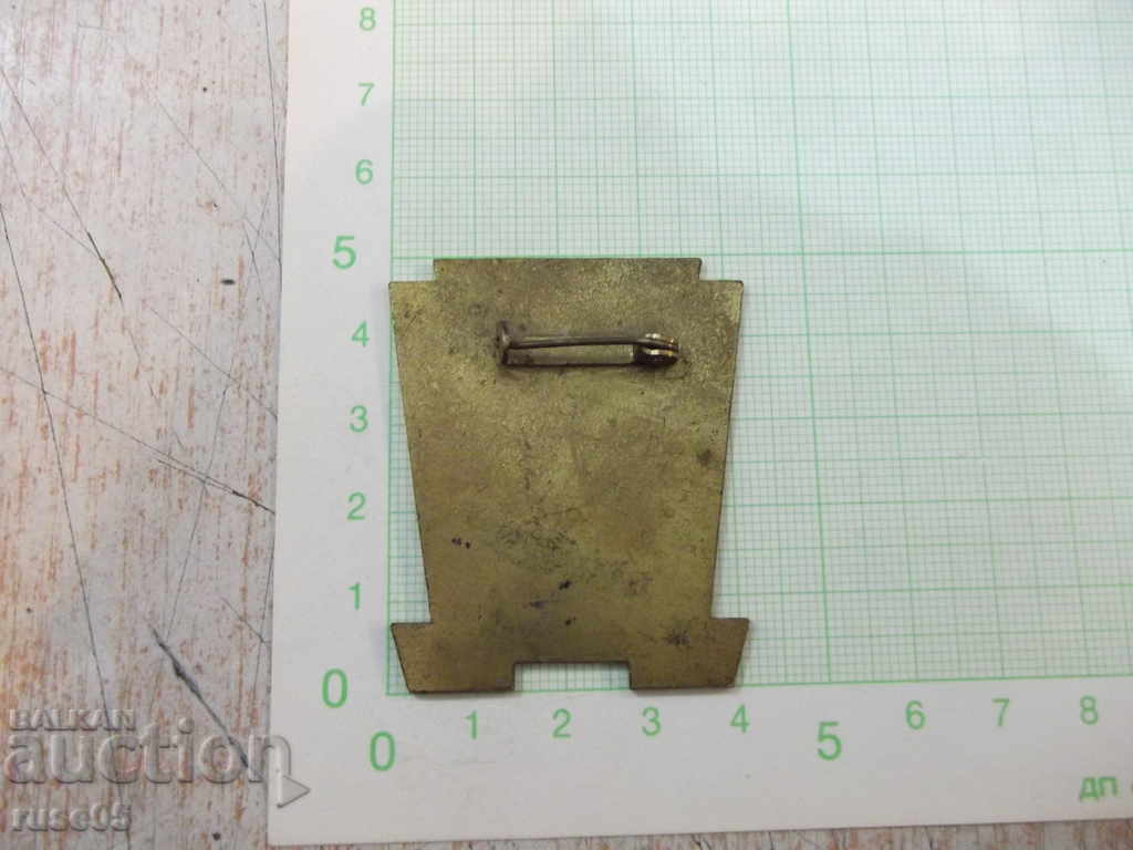 Badge "Niemals ein SS Europa 1954" with price 20.00 BGN | € 10.23 Badge "Niemals ein SS Europa 1954" with price 20.00 BGN | € 10.23