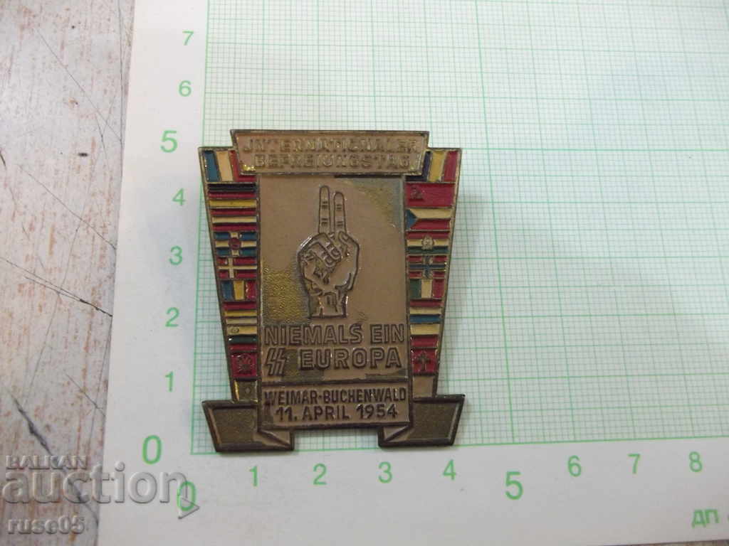 Badge "Niemals ein SS Europa 1954"