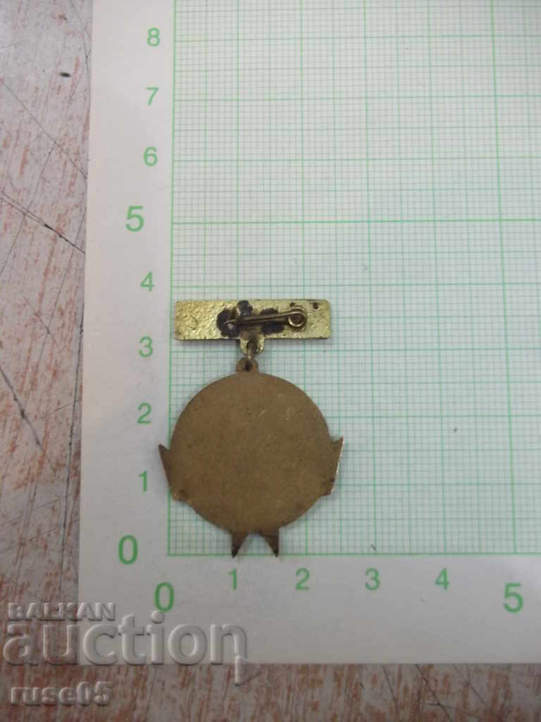 Badge "Radetski 1966" with price 7.00 BGN | € 3.58 Badge "Radetski 1966" with price 7.00 BGN | € 3.58