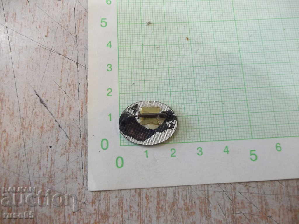 Badge "Shipyard and ship repair factory" Ivan Dimitrov * "Rousse" - 6 Badge "Shipyard and ship repair factory" Ivan Dimitrov * "Rousse" - 6