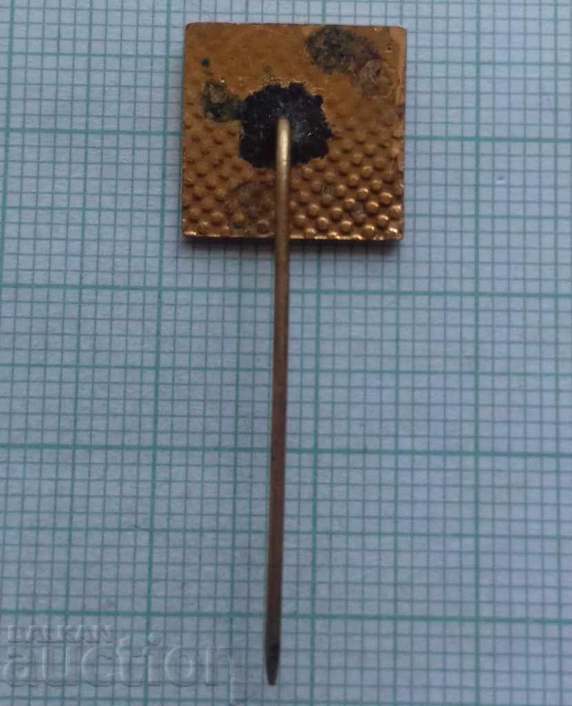 Delivery of 3352 Badges - Public Sports Instructor BSFCS - Bronze Enamel Delivery of 3352 Badges - Public Sports Instructor BSFCS - Bronze Enamel