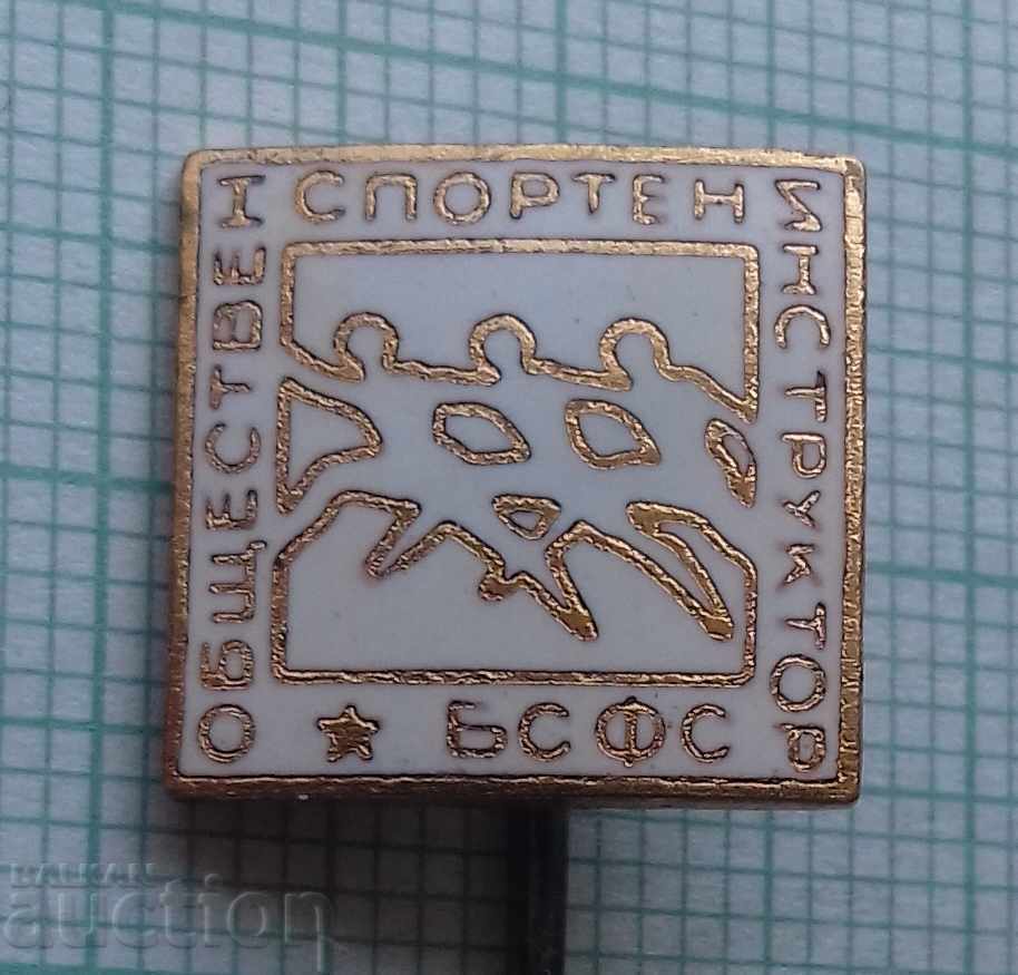 3352 Badges - Public Sports Instructor BSFCS - Bronze Enamel 3352 Badges - Public Sports Instructor BSFCS - Bronze Enamel