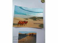 Set magnet and postcard from Mongolia-Gobi-2