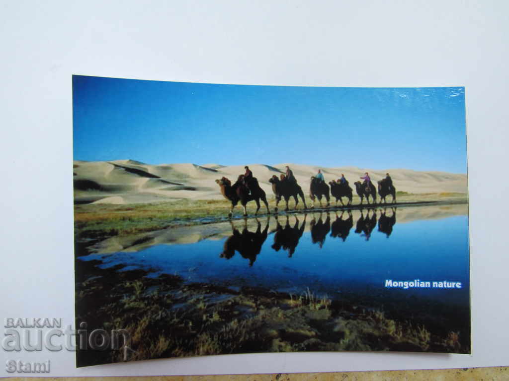 Set magnet and postcard from Mongolia-Gobi-4 - 5 Set magnet and postcard from Mongolia-Gobi-4 - 5