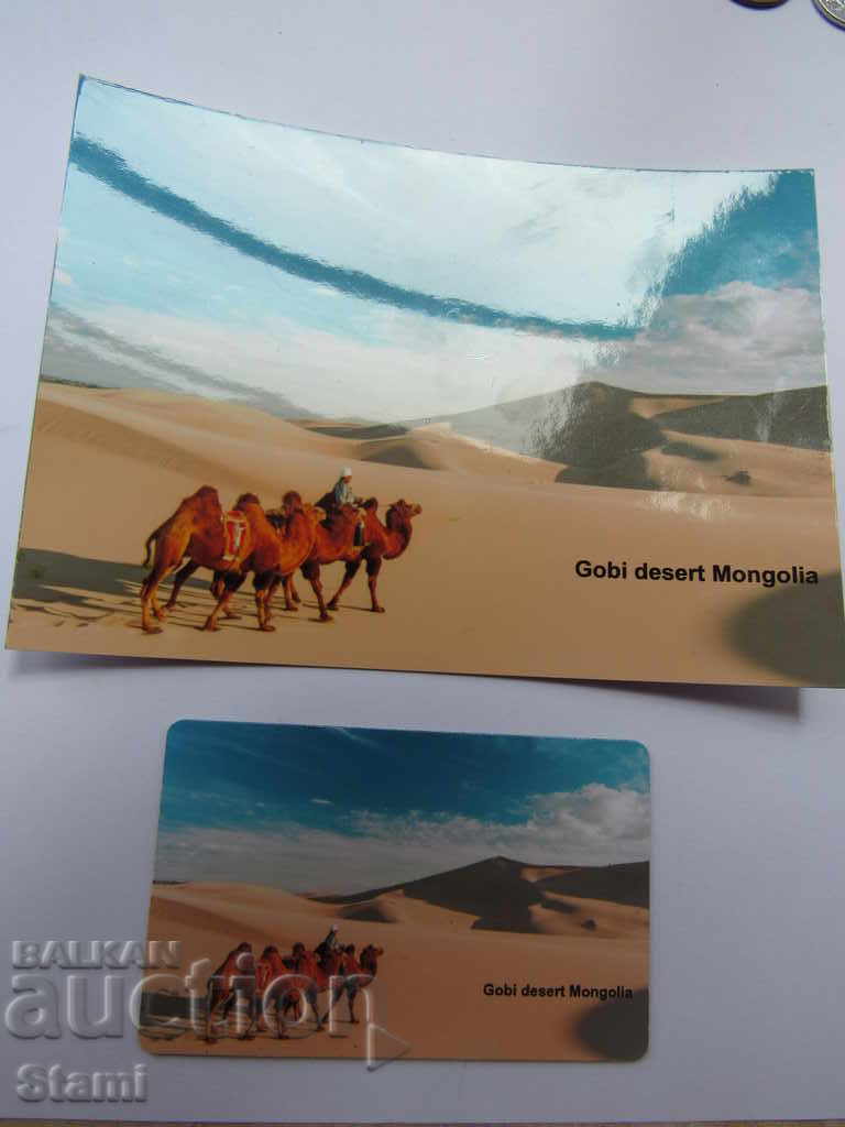 Set magnet and postcard from Mongolia-Gobi-5