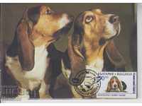 Carte poștală maximă Câini faunei