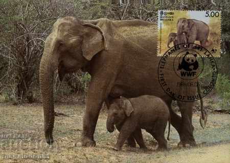 WWF Script Card Maxim Sri Lanka Elephants 1986 cu preț 20.00 BGN | € 10.23 WWF Script Card Maxim Sri Lanka Elephants 1986 cu preț 20.00 BGN | € 10.23