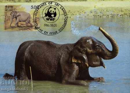 Licitație WWF Script Card Maxim Sri Lanka Elephants 1986 Licitație WWF Script Card Maxim Sri Lanka Elephants 1986