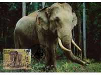WWF Script Card Μέγιστο Σρι Λάνκα Ελέφαντες 1986