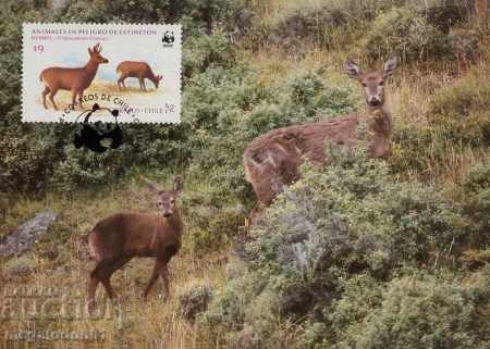 WWF card set maximum chili - fauna 1983 with price 11.00 BGN | € 5.62