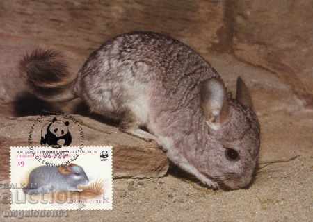 Auction  WWF card set maximum chili - fauna 1983