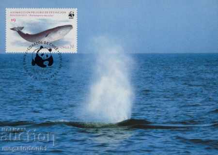 Delivery of WWF card set maximum chili - fauna 1983